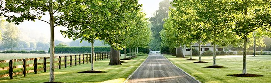 Estate Management Company